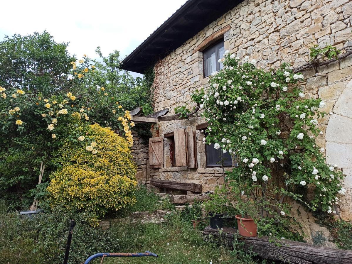 Casa Rural Ttipiaenea Landetxea Ariz  Eksteriør bilde